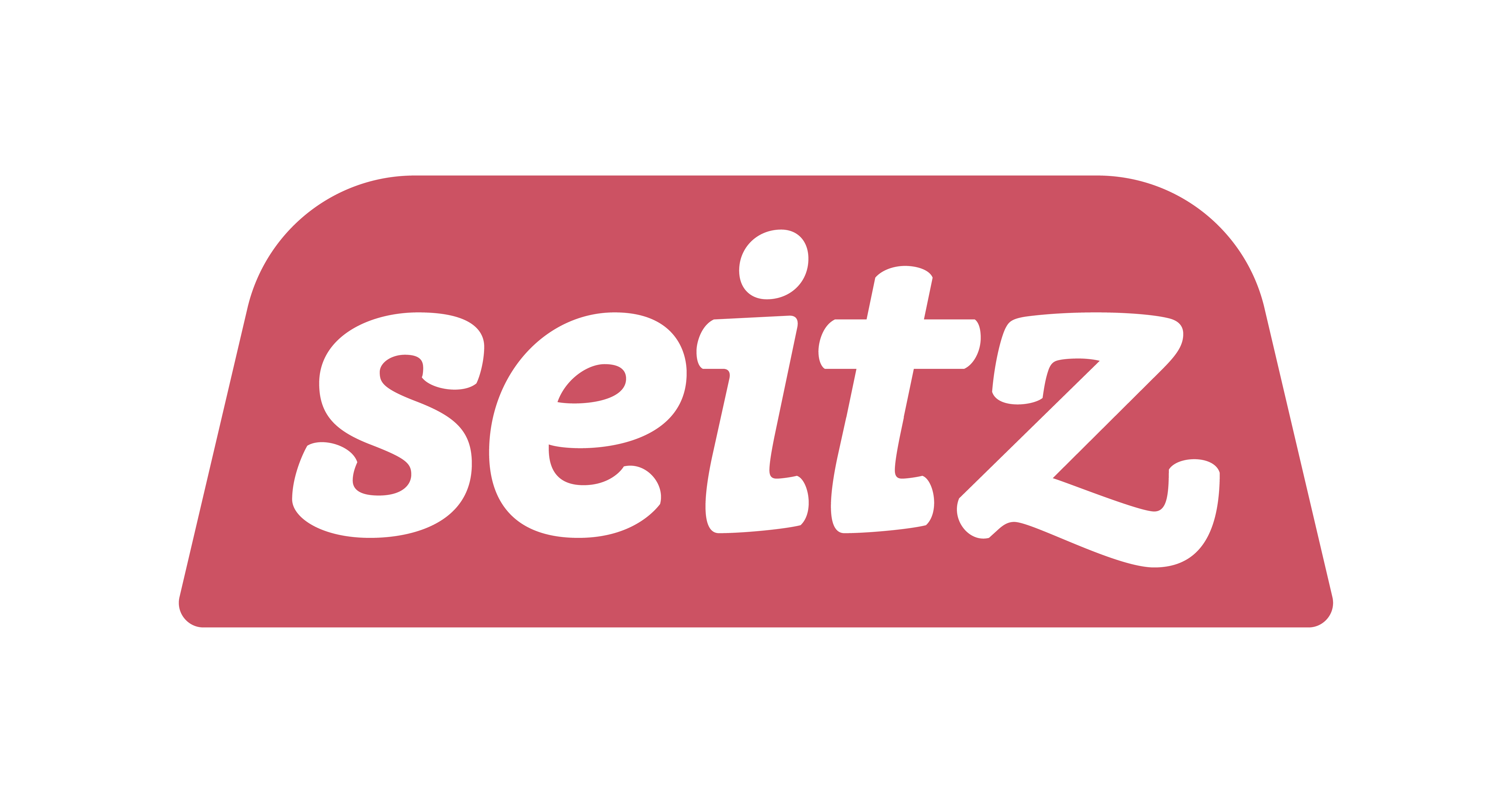 SEITZ_dachmarke_logo